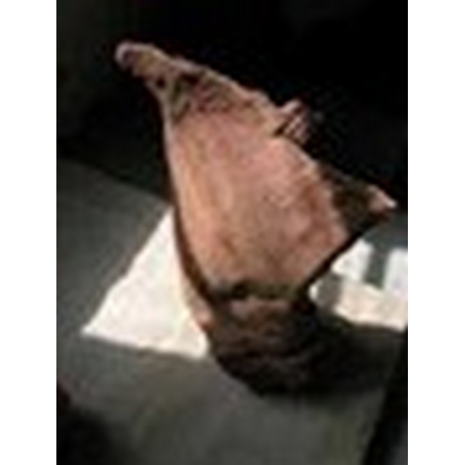 Guerriero